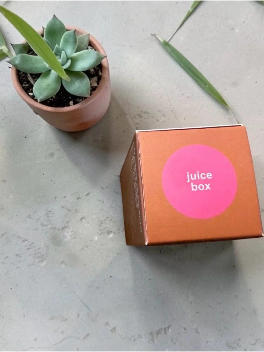 PageVine Pocket Blush — Juice Bar